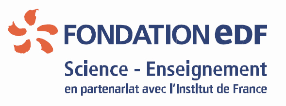 fondation_logo