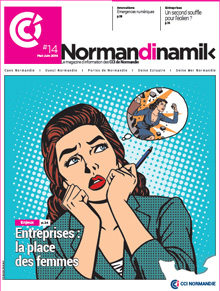 normandinamik